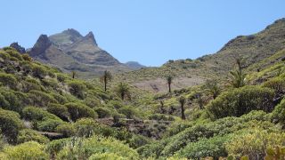 2022-04-GranCan-Agaete-Trekking_view-PM-NN-074.JPG